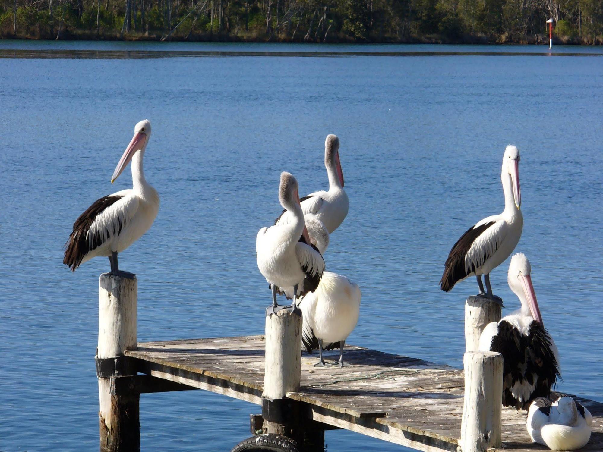 Huskisson Beach Motel Buitenkant foto